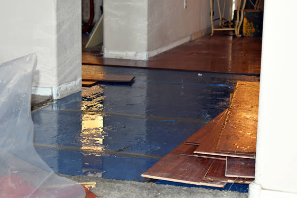 Professional Flood Damage Repair technician working in Maple Rapids, MI